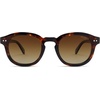 image:imageSOJOS Retro Vintage Polarized Sunglasses for Women Men Classic Square Panto Shades SJ2626Brown TortoiseBrown