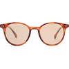 image:imageSOJOS Small Round Classic Polarized Sunglasses for Women Men Vintage Style UV400 Lens MAY SJ2113BrownLight Yellow