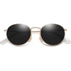 image:imageSOJOS Small Round Polarized Sunglasses for Women Men Classic Vintage Retro Shades UV400 SJ1014GoldGrey
