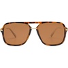Tortoise/Brown