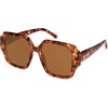 Brown Tortoise/Brown
