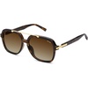 Brown Tortoise/Brown