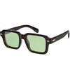 Dark Tortoise/Light Green Tint