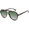 Tortoise/Gradient Green