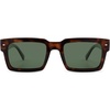 Brown Tortoise/Green
