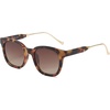 Amber Tortoise/Brown