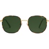 Dark Tortoise/Green