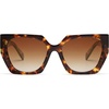 Brown Tortoise/Brown