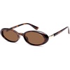 Brown Tortoise/Brown