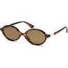 Brown Tortoise/Brown