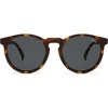 Brown Tortoise/Brown