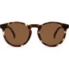 Tortoise/Brown