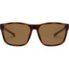 Tortoise/Brown
