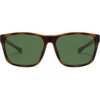 Tortoise/Green