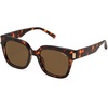 Brown Tortoise/Brown