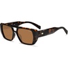 Brown Tortoise Frame/Brown Lens