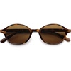 Brown Tortoise/Brown