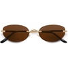 Shiny Gold / Brown Lens