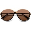 Tortoise/Brown