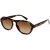 Brown Tortoise/Brown