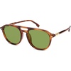 Tortoise/Green