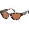 Tortoise / Brown Lens