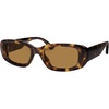 Tortoise/Brown