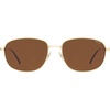 Shiny Gold/Brown