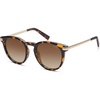 Brown Tortoise/Gradient Brown