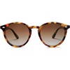 Amber Tortoise/Brown