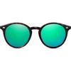 Dark Tortoise/Bluish Green Mirrored