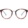 C9 Purple Tortoise Frame