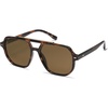 Tortoise/Brown