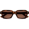Brown Tortoise Frame Brown Lens