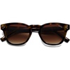 Brown Tortoise/Gradient Brown