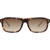 Tortoise/Brown