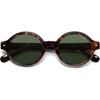 Tortoise/Green