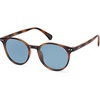 Brown/Light Blue