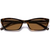 Brown Tortoise/Brown