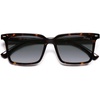 Tortoise Frame Grey Grading Lens