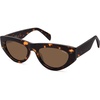 Tortoise Frame Brown Lens