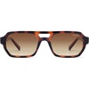 Tortoise Frame Brown Grading Lens