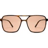 Tortoise/Brown