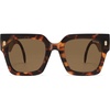 Tortoise/Brown