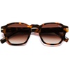 Brown Tortoise Frame Brown Grading Lens