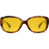 Brown Tortoise/Night Vision