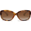 Tortoise/Gradient Brown