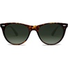 Dark Tortoise/Green