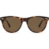 Tortoise/Brown