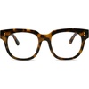 C2 Tortoise Frame